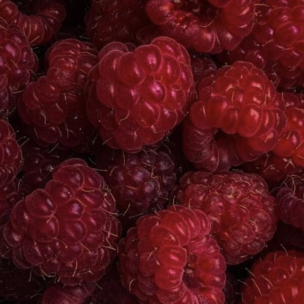 EXTRA RASPBERRIES 