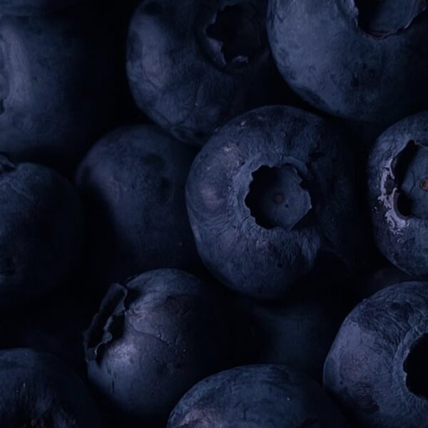 EXTRA BLUEBERRIES 